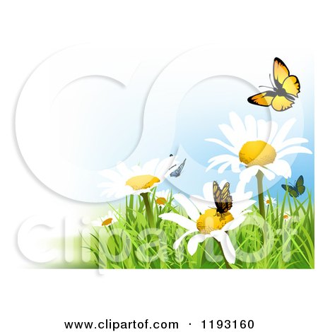 Clipart of Butterflies and White Flowers with Grass - Royalty Free Vector Illustration by dero