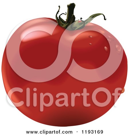 Clipart of a Plump Red Tomato with Dew - Royalty Free Vector Illustration by dero