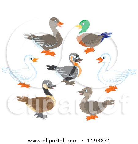 Cartoon of Cute Ducks in Profile - Royalty Free Vector Clipart by Alex Bannykh