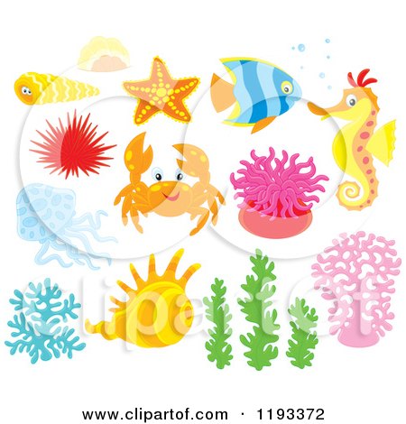 Cartoon of Sea Creatures and Plants - Royalty Free Vector Clipart by Alex Bannykh