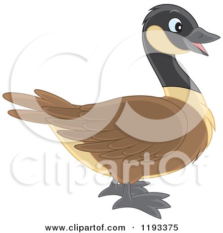 Cartoon of a Cute Brown and Black Duck Canadian Goose in Profile - Royalty Free Vector Clipart by Alex Bannykh