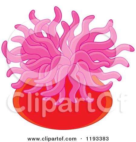 Cartoon of a Red and Pink Sea Anemone - Royalty Free Vector Clipart by Alex Bannykh