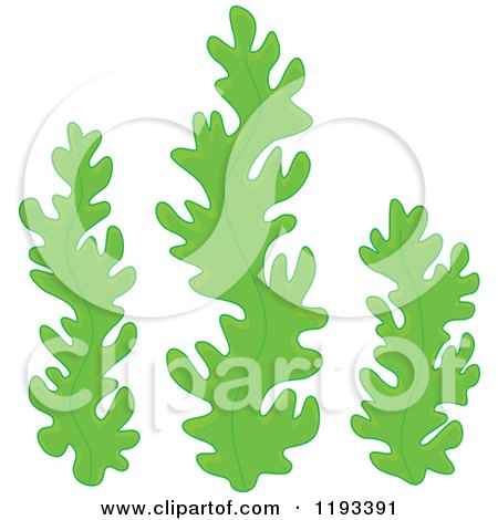 Cartoon of Green Seaweed - Royalty Free Vector Clipart by Alex Bannykh