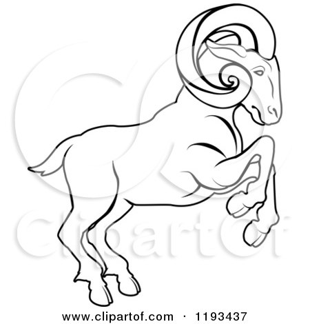 Clipart of a Black and White Line Drawing of the Aries Ram Zodiac Astrology Sign - Royalty Free Vector Illustration by AtStockIllustration