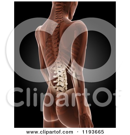 Clipart of a 3d Medical Female Xray with Visible Skeleton and Spine, on Black - Royalty Free CGI Illustration by KJ Pargeter