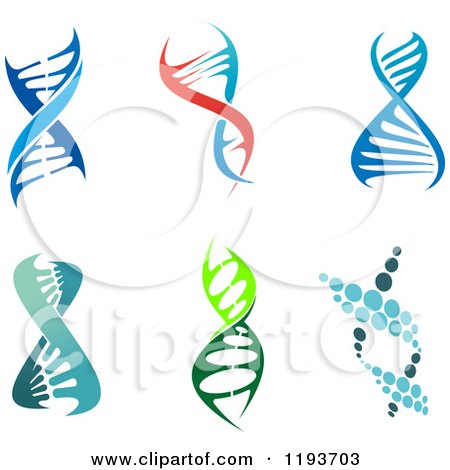 Clipart of Dna Double Helix Cloning Strands - Royalty Free Vector Illustration by Vector Tradition SM