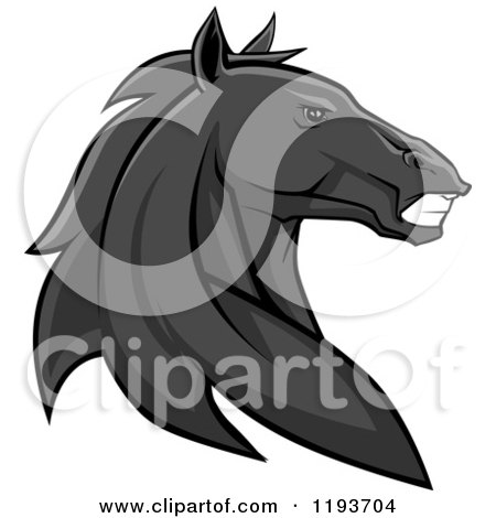 Clipart of a Tough Black Horse Head - Royalty Free Vector Illustration by Vector Tradition SM