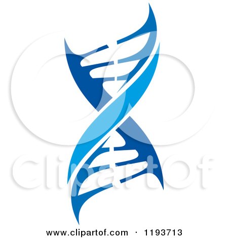 Clipart of a Dna Double Helix Cloning Strand - Royalty Free Vector Illustration by Vector Tradition SM