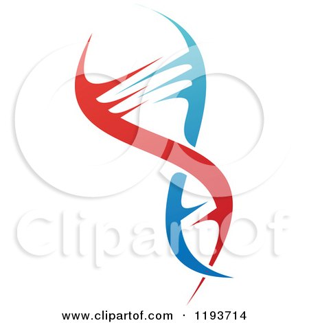 Clipart of a Dna Double Helix Cloning Strand 2 - Royalty Free Vector Illustration by Vector Tradition SM