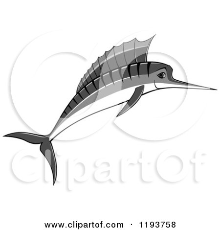 Clipart of a Jumping Grayscale Marlin Fish 2 - Royalty Free Vector Illustration by Vector Tradition SM