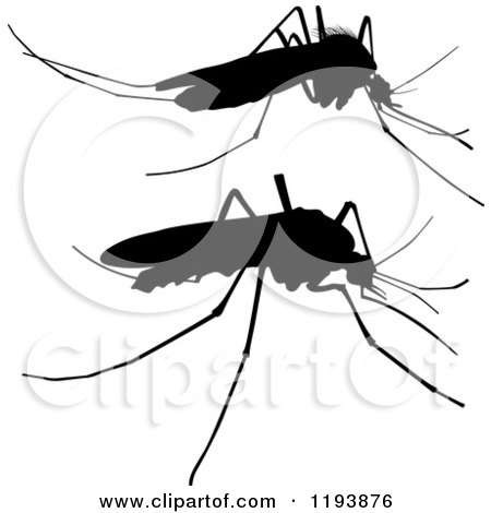 Clipart of Black Mosquito Silhouettes - Royalty Free Vector Illustration by dero