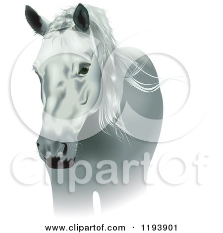 Clipart of a White Horse - Royalty Free Vector Illustration by dero