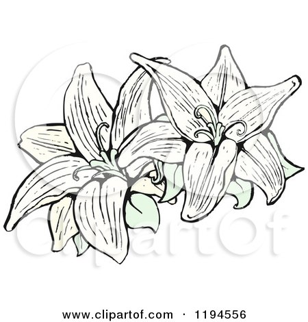Clip Art of Lilies - Royalty Free Vector Illustration by lineartestpilot