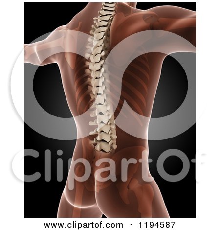 Clipart of a Cropped 3d Xray Man with Visible Skin Spine and Skeleton, Standing with His Arms out on Black - Royalty Free CGI Illustration by KJ Pargeter