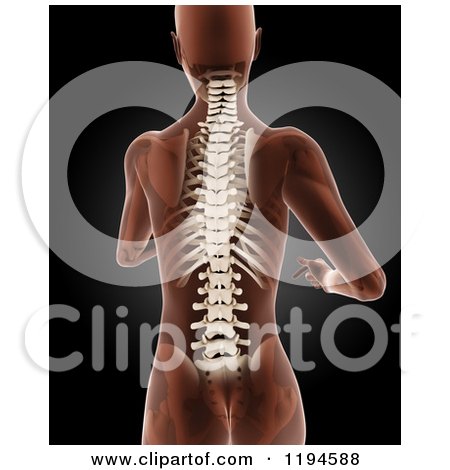 Clipart of a 3d Medical Female Xray with Visible Skeleton and Spine, on Black 2 - Royalty Free CGI Illustration by KJ Pargeter