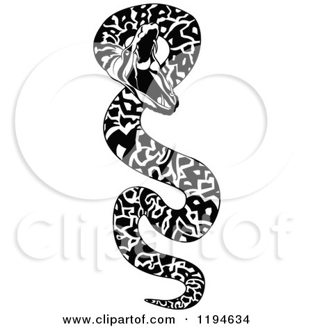 Clipart of a Black and White Attacking Snake - Royalty Free Vector Illustration by dero