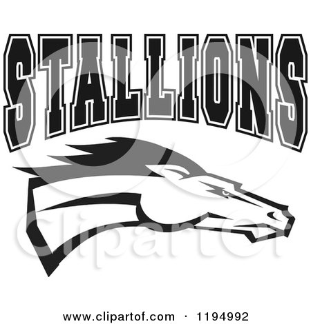 Clipart of a Black and White Horse Head with STALLIONS Team Text - Royalty Free Vector Illustration by Johnny Sajem