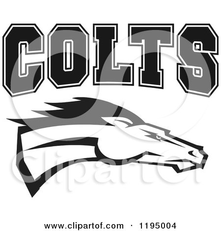 Clipart of a Black and White Horse Head with COLTS Team Text - Royalty Free Vector Illustration by Johnny Sajem