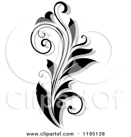 Clipart of a Black and White Flourish with a Shadow 3 - Royalty Free Vector Illustration by Vector Tradition SM