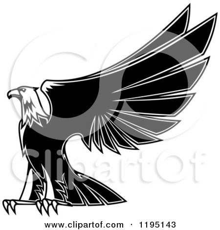 Clipart of a Black and White Eagle Lifting His Wings 3 - Royalty Free Vector Illustration by Vector Tradition SM