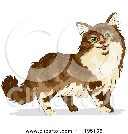 Cartoon of a Cute Maine Coon Cat with Green Eyes - Royalty Free Vector Clipart by BNP Design Studio