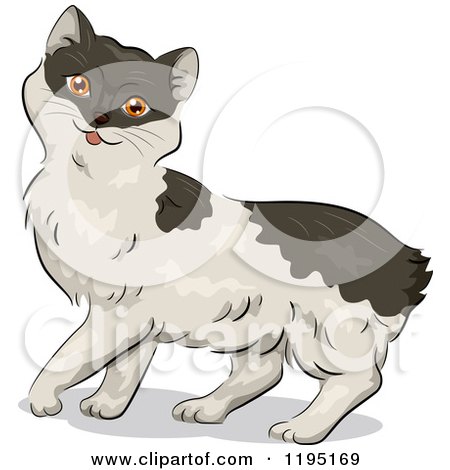 Cartoon of a Cute Manx Kitty Cat - Royalty Free Vector Clipart by BNP Design Studio