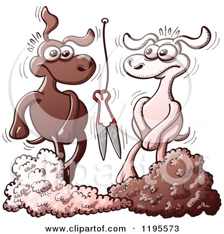 Cartoon of a Embarrassed White and Black Sheep After Being Shorn, With Opposite Colored Wool - Royalty Free Vector Clipart by Zooco