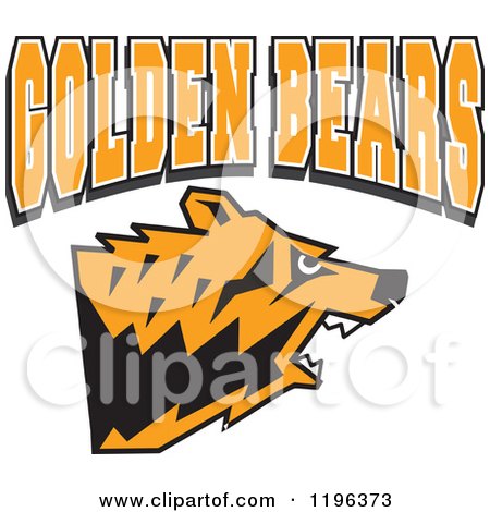 Clipart of GOLDEN BEARS Text over an Aggressive Bear Head - Royalty Free Vector Illustration by Johnny Sajem