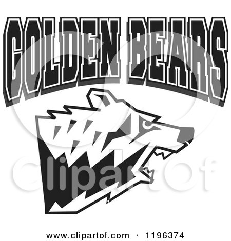 Clipart of Black and White GOLDEN BEARS Text over an Aggressive Bear Head - Royalty Free Vector Illustration by Johnny Sajem