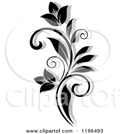 Clipart of a Black and White Flourish with a Shadow 6 - Royalty Free Vector Illustration by Vector Tradition SM