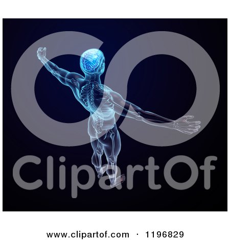 Clipart of a 3d Male Body with Visible Central Nervous System with a Visible Brain, on Black - Royalty Free CGI Illustration by Mopic