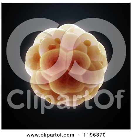 Clipart of a 3d Embryo on Black - Royalty Free CGI Illustration by Mopic