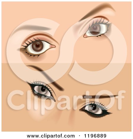Clipart of Female Eyes with Makeup - Royalty Free Vector Illustration by dero