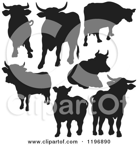 Clipart of Black Silhouetted Cows - Royalty Free Vector Illustration by dero