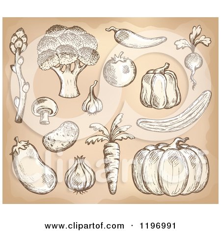 Cartoon of Sketched Vegetables on Tan - Royalty Free Vector Clipart by visekart