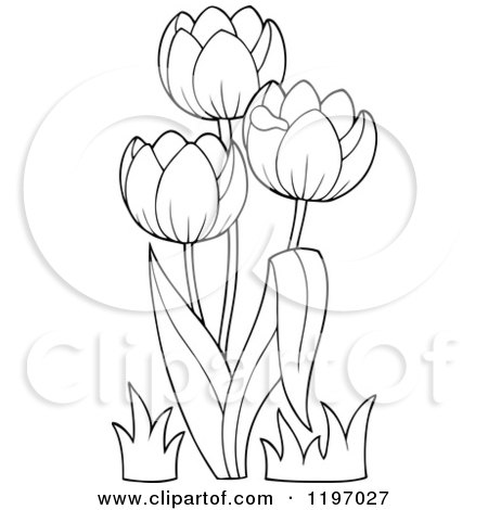 Cartoon of Outlined Tulip Flowers - Royalty Free Vector Clipart by visekart