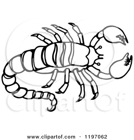 Clipart of a Black and White Scorpion - Royalty Free Vector Illustration by Prawny