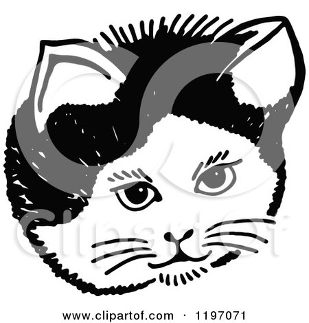 Clipart of a Black and White Kitty Face - Royalty Free Vector Illustration by Prawny