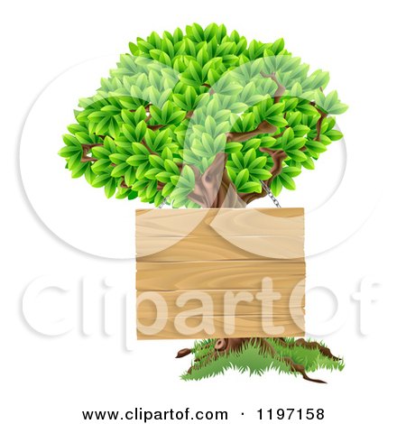 Cartoon of a Wooden Sign Hanging on a Tree - Royalty Free Vector Clipart by AtStockIllustration
