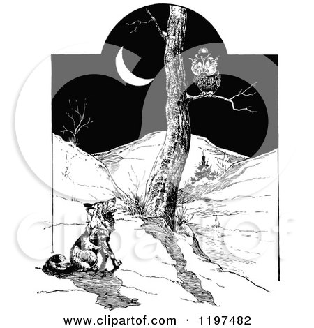 Clipart of a Vintage Black and White Fox Watching an Owl at Night - Royalty Free Vector Illustration by Prawny Vintage
