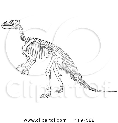 Clipart of a Black and White Dinosaur Skeleton 2 - Royalty Free Vector Illustration by Prawny Vintage