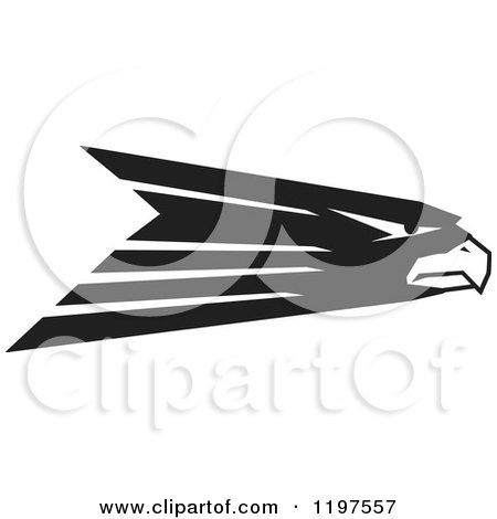 Clipart of a Black and White Hawk Eagle or Falcon Mascot - Royalty Free Vector Illustration by Johnny Sajem