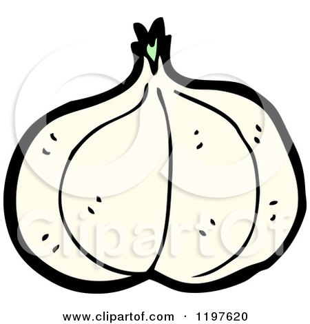 Cartoon of a Whole Garlic - Royalty Free Vector Illustration by lineartestpilot