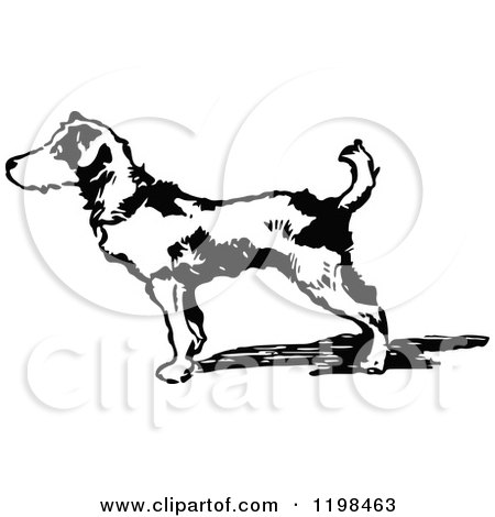 Clipart of a Black and White Vintage Dog - Royalty Free Vector Illustration by Prawny Vintage