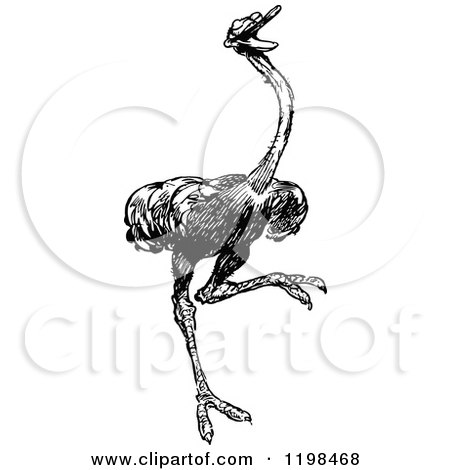 Clipart of a Black and White Vintage Ostrich - Royalty Free Vector Illustration by Prawny Vintage
