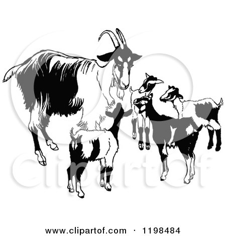 Clipart of a Black and White Vintage Goat Family - Royalty Free Vector Illustration by Prawny Vintage