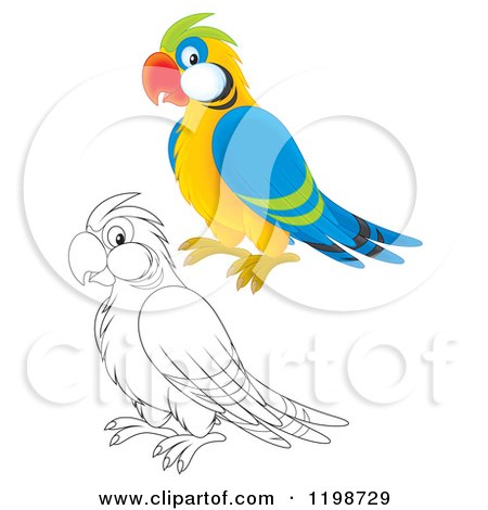 Cartoon of a Cute Happy Parrot in Color and Black and White Outline - Royalty Free Clipart by Alex Bannykh