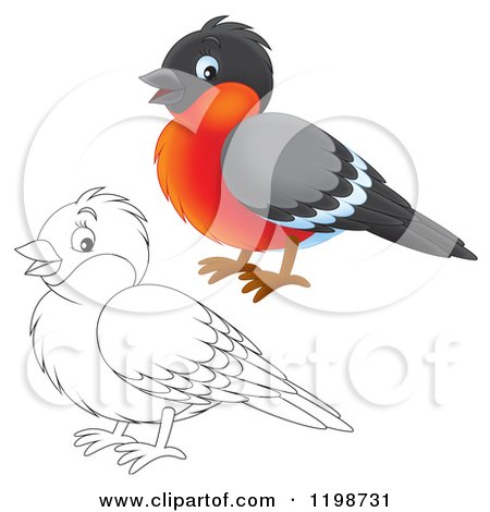 Cartoon of a Cute Happy Robin in Color and Black and White Outline - Royalty Free Clipart by Alex Bannykh