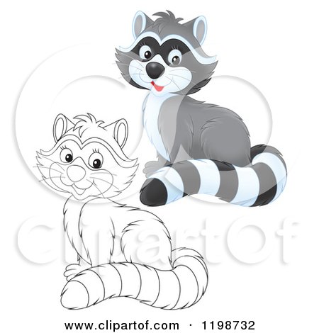 Cartoon of a Cute Happy Raccoon in Color and Black and White Outline - Royalty Free Clipart by Alex Bannykh