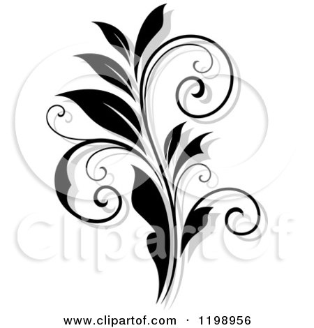 Clipart of a Black and White Flourish with a Shadow 8 - Royalty Free Vector Illustration by Vector Tradition SM